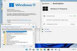 Windows 11 Pro 10.0.22000.493 + Office 2021 for VMware