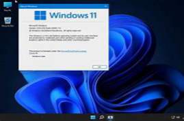 Windows 11 Pro 10.0.22000.176 LITE for VMware Workstation